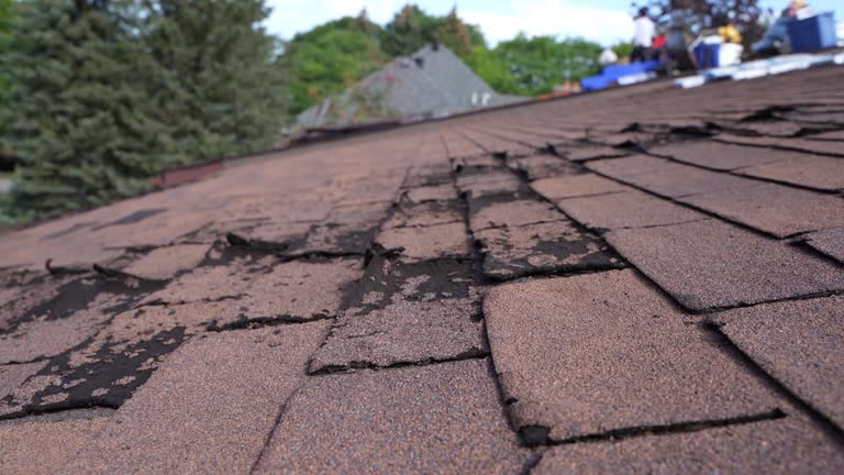 Best Storm Damage Roof Repair  in Menlo Park, CA