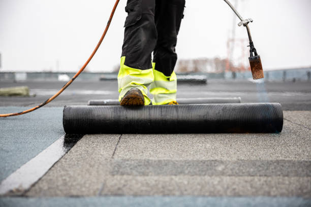 Best Skylight Installation and Repair  in Menlo Park, CA