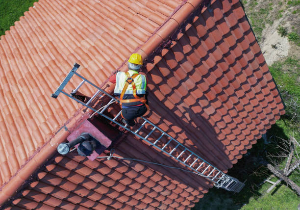 Best Roof Moss and Algae Removal  in Menlo Park, CA